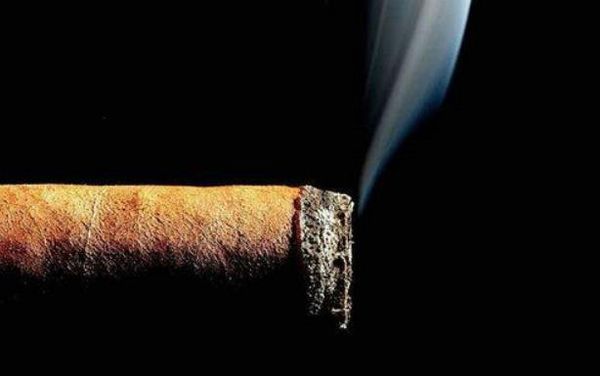 담배에는 니코틴이 얼마나 들어 있습니까?