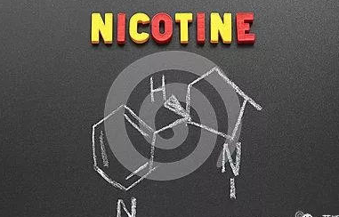 니코틴 중독에 대한 질문