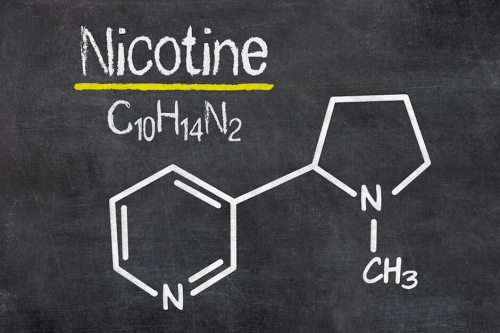 니코틴을 화학적으로 합성하는 사람은 누구입니까?
