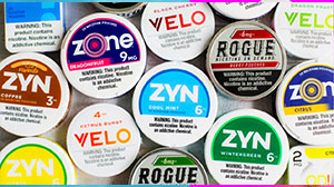 니코틴 파우치란 무엇이고 어떻게 작동하나요?